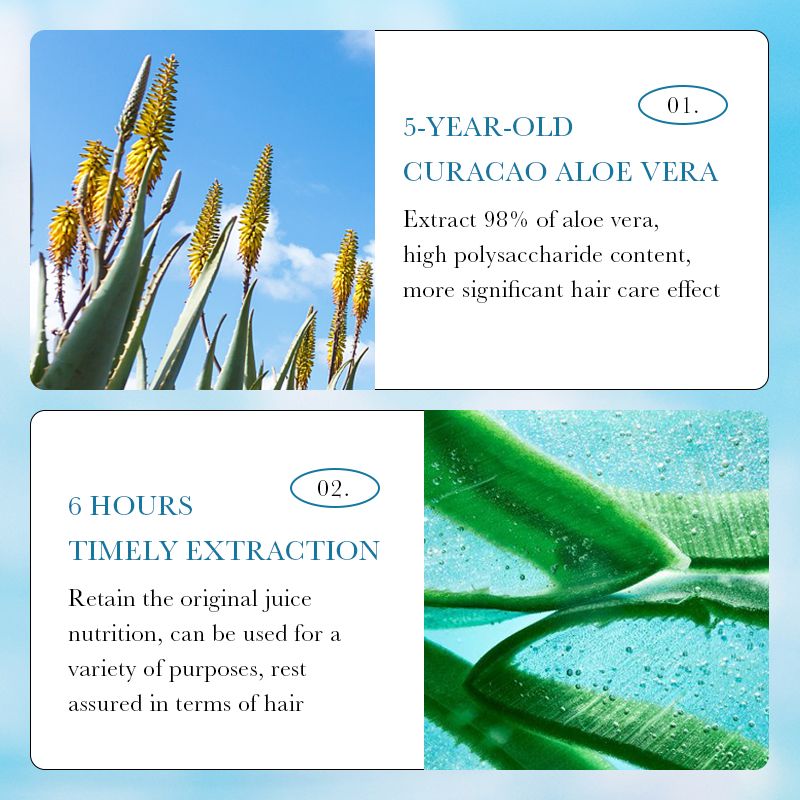 SADOER Natural Aloe Vera Shampoo Anti-Dandruff Shampoo Disposable Hair Repair Shampoo Sachet Aloe Extract Keratin Vitamin E Moisturizing Nourishing Dry Hair Oily Scalp Frizzy Hair Budget-Friendly