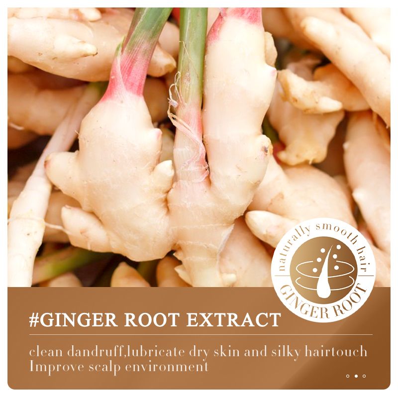 Natural Ginger Essence Disposable Shampoo Anti-Dandruff Oil Control Deep Cleansing Hair Strengthening Volumizing Ginger Extract Biotin Keratin Strengthens Hair Roots Repairs Dry Ends Soft & Silky