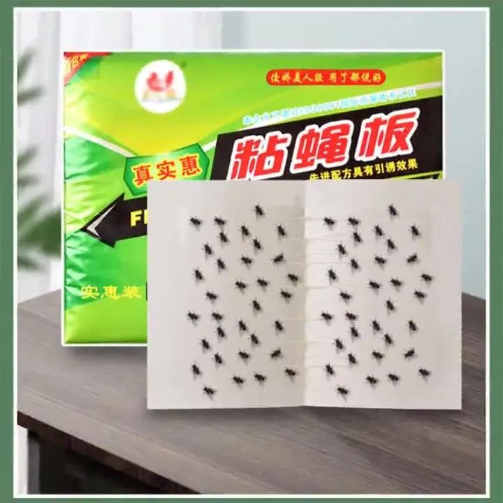 10pcs Strong Sticky Fly Trap Fly Catcher Fly Paper Insect Trap Sticky Glue Trap Non-Toxic Safe for Kids/Pets  Adhesive Effective Fly Control Hanging Fly Trap Window Fly Trap Indoor & Outdoor Use
