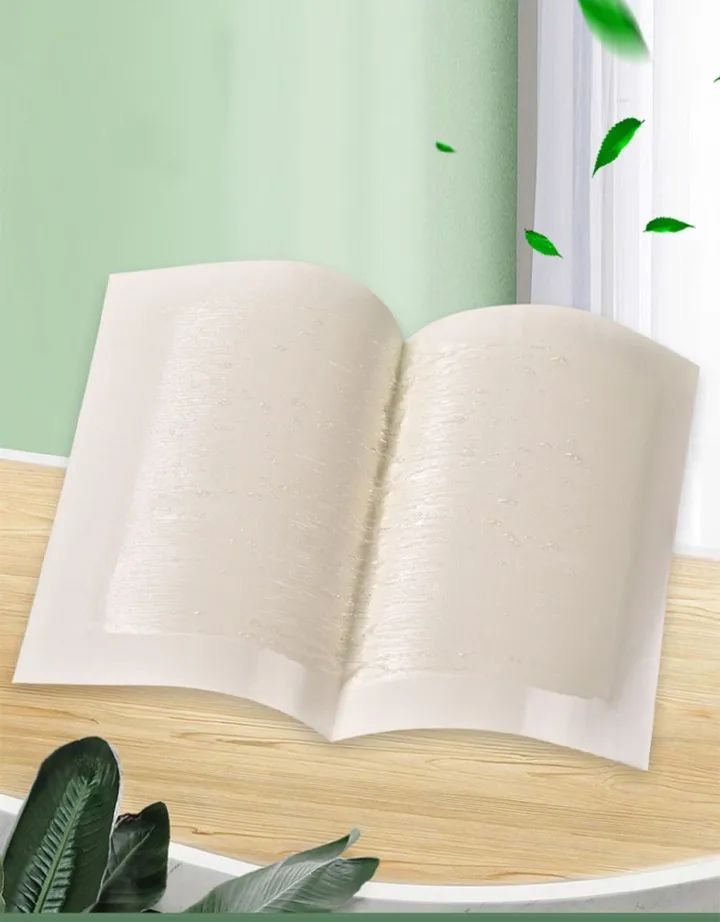 10pcs Strong Sticky Fly Trap Fly Catcher Fly Paper Insect Trap Sticky Glue Trap Non-Toxic Safe for Kids/Pets  Adhesive Effective Fly Control Hanging Fly Trap Window Fly Trap Indoor & Outdoor Use