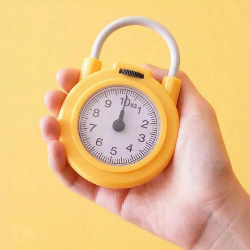 10kg Held no Battery Spring Scale Hanging Scale Portable Scale Fish Scale Luggage Scale Mechanical Scale Handheld Hanging Hook Stainless Steel Hook Plastic Casing Metal Casing Compact