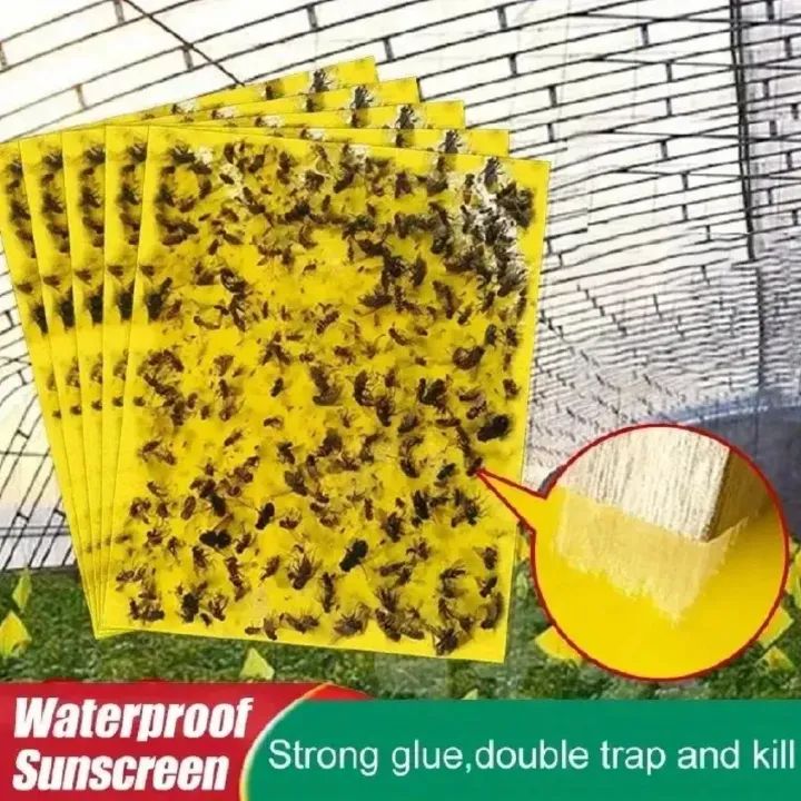 10pcs Strong Sticky Fly Trap Fly Catcher Fly Paper Insect Trap Sticky Glue Trap Non-Toxic Safe for Kids/Pets  Adhesive Effective Fly Control Hanging Fly Trap Window Fly Trap Indoor & Outdoor Use