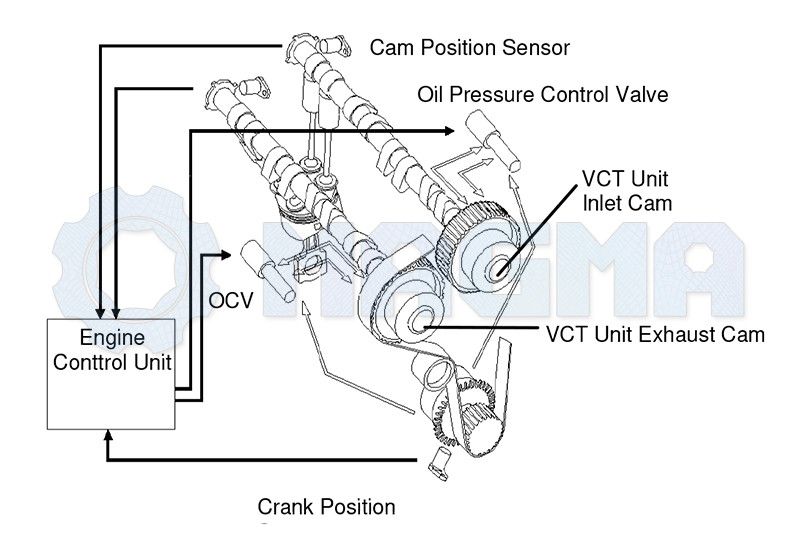 Engine Timing Tool Set - for Ford 1.0 / 1.1 Ecoboost (MG50170) Magma Special Automotive Tools