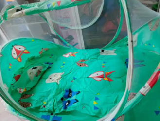 Portable Foldable Baby Sleeping Nest Cot with Mosquito Net – Lightweight Travel Baby Bed, Breathable Cotton Mattress, Insect Protection Dome, Newborn Sleeping Cot for Home & Outdoor Use