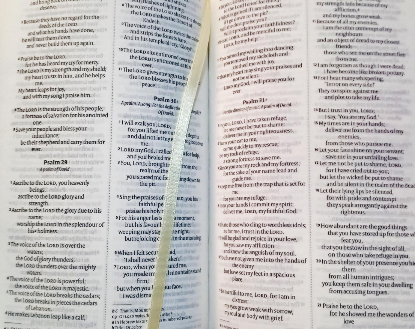 Holy Bible NIV