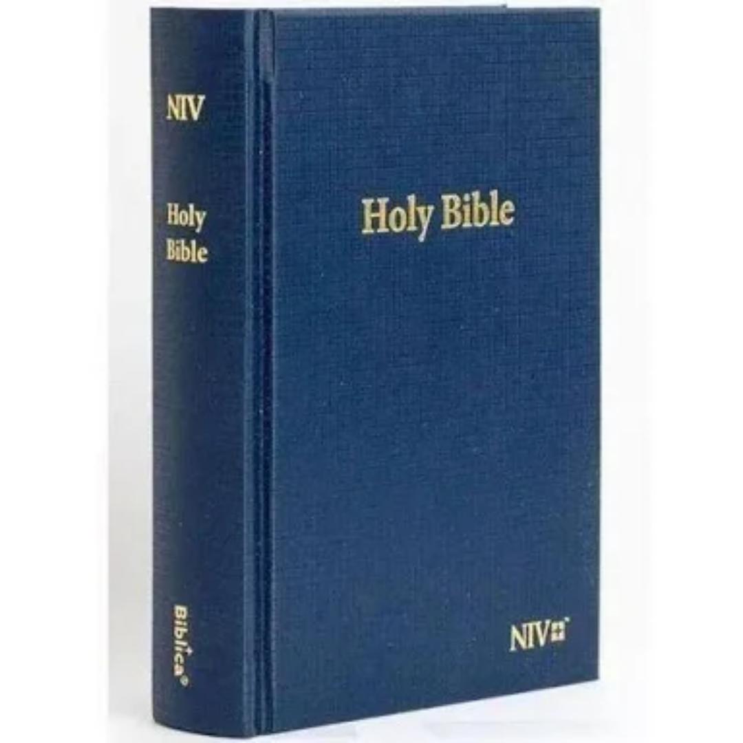 Holy Bible NIV