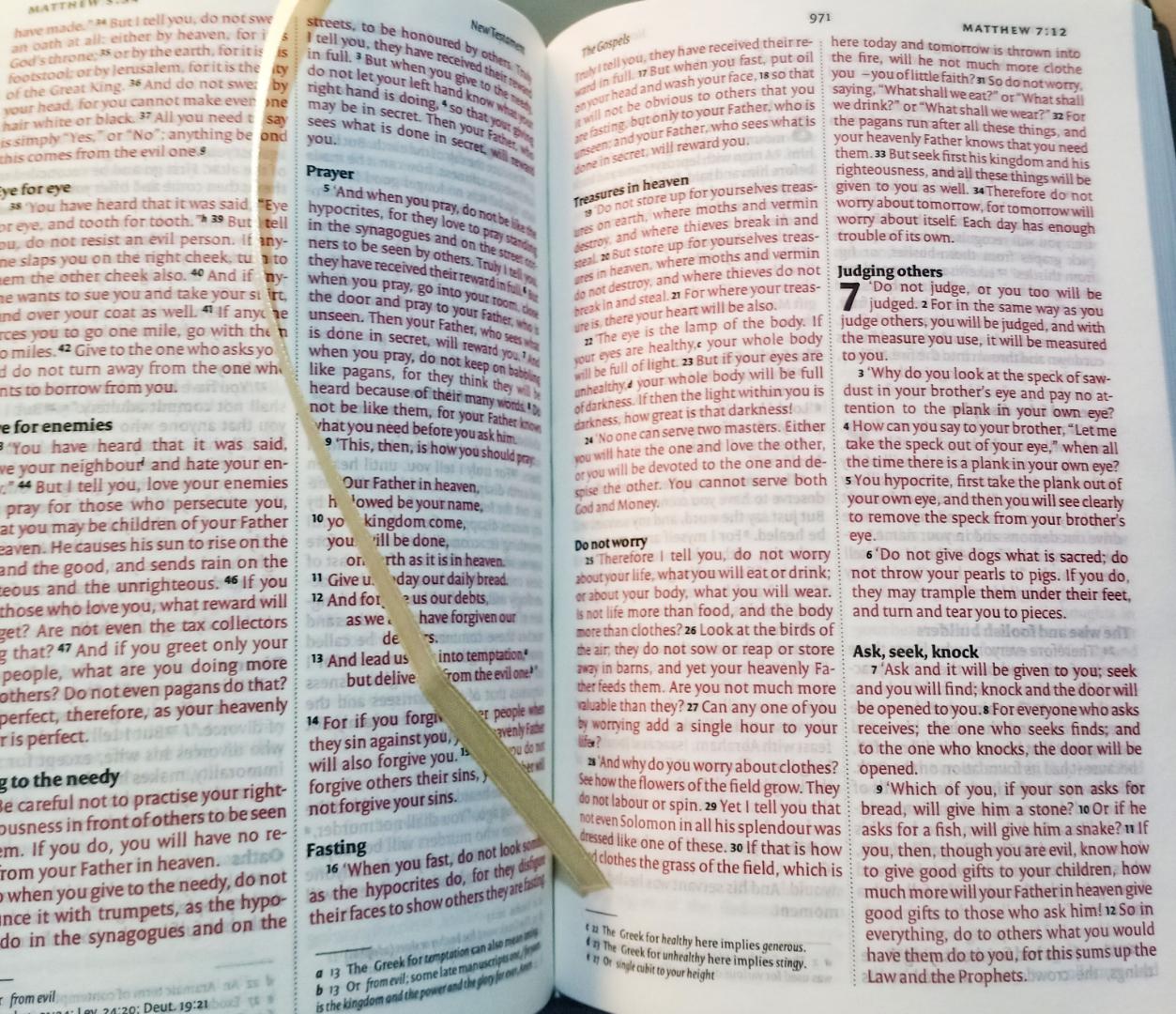 Holy Bible NIV