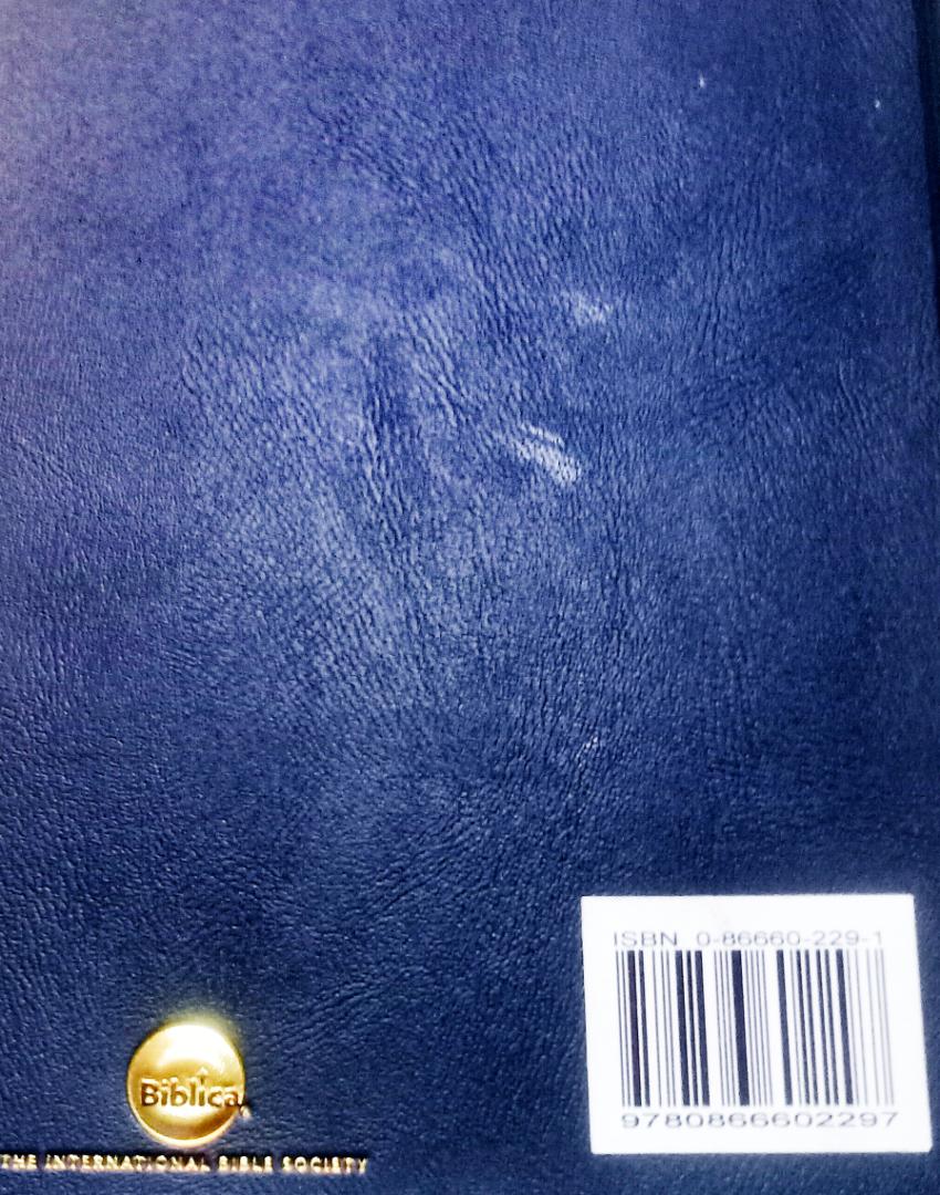 Holy Bible NIV