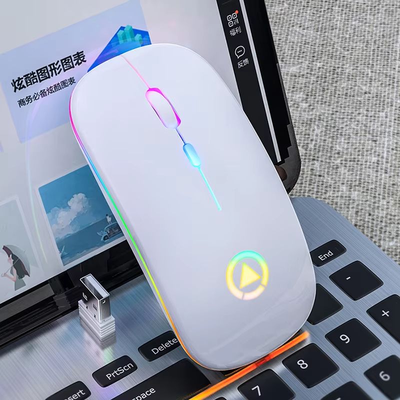 Rechargeable Wireless Mouse 2.4GHz Computer Mice with Receiver for PC Laptop Macbook
