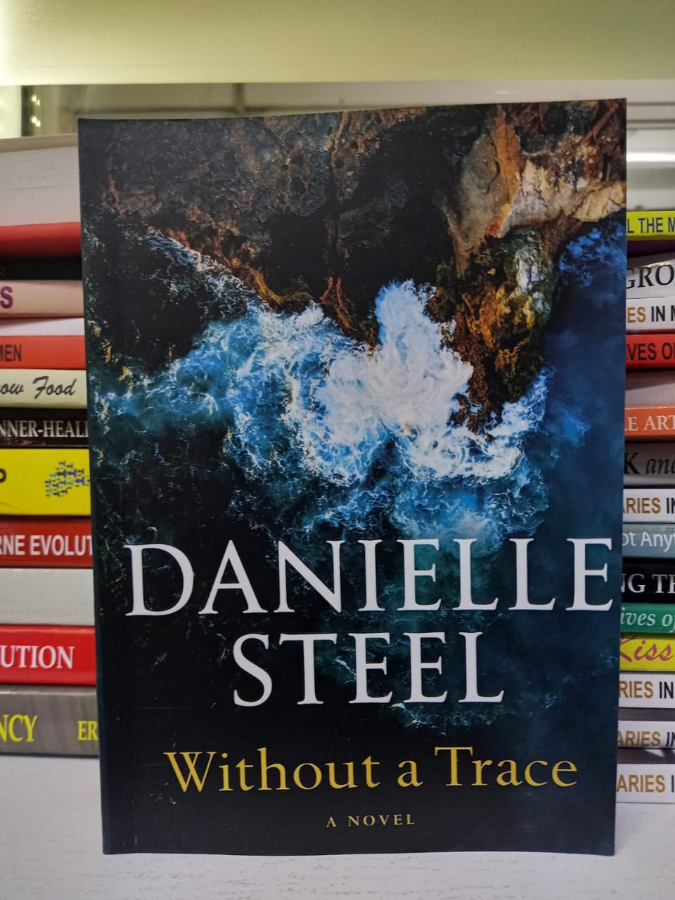 Without a Trace: A Novel
Book by Danielle Steel