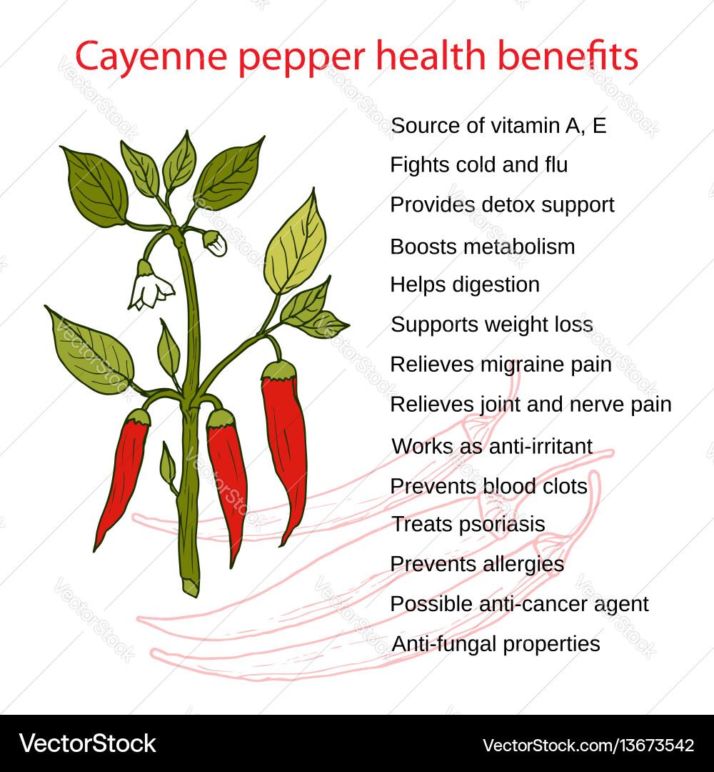 ORGANIC CAYENNE PEPPER (PROMOTES WEIGHT LOSS, TREATS ULCERS AND STOMACH ACID, PREVENTS BLOOD CLOT, TREATS Psoriassis
