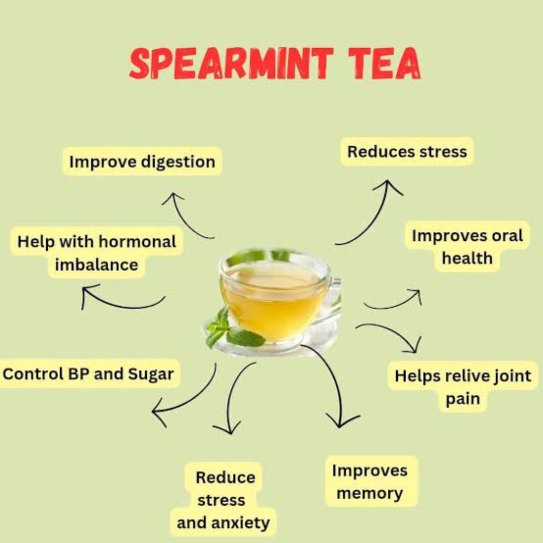 SPEAR MINT(SOOTHE BREATHING, improve oral health,, control blood sugar, balance hormones