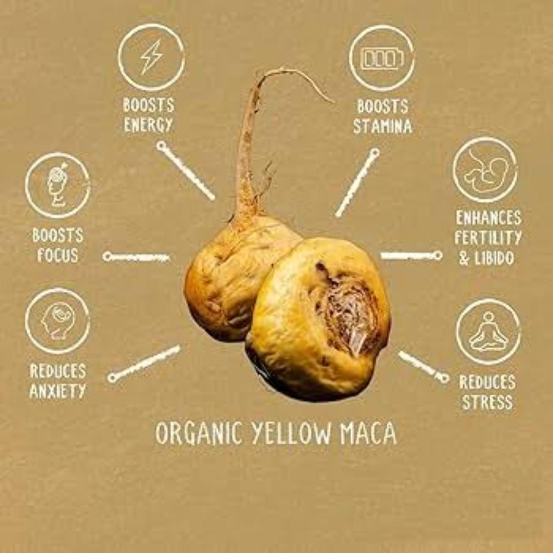YELLOW MACA   ROOT POWDER EXTRACT (enhance fertility and libido,+boost immunity+reduce stress+boost focus+boost energy