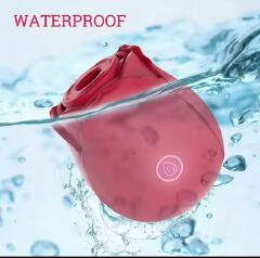 20 FREE LUBRICANT + Women's Rose Clitoris Sucking Vibrator Nipples Sucker Oral Stimulator Powerful Rechargeable Adult Compact Foreplay Sex Toy For Girlfriend Wife ( PLUS FREE LUBRICANTS)