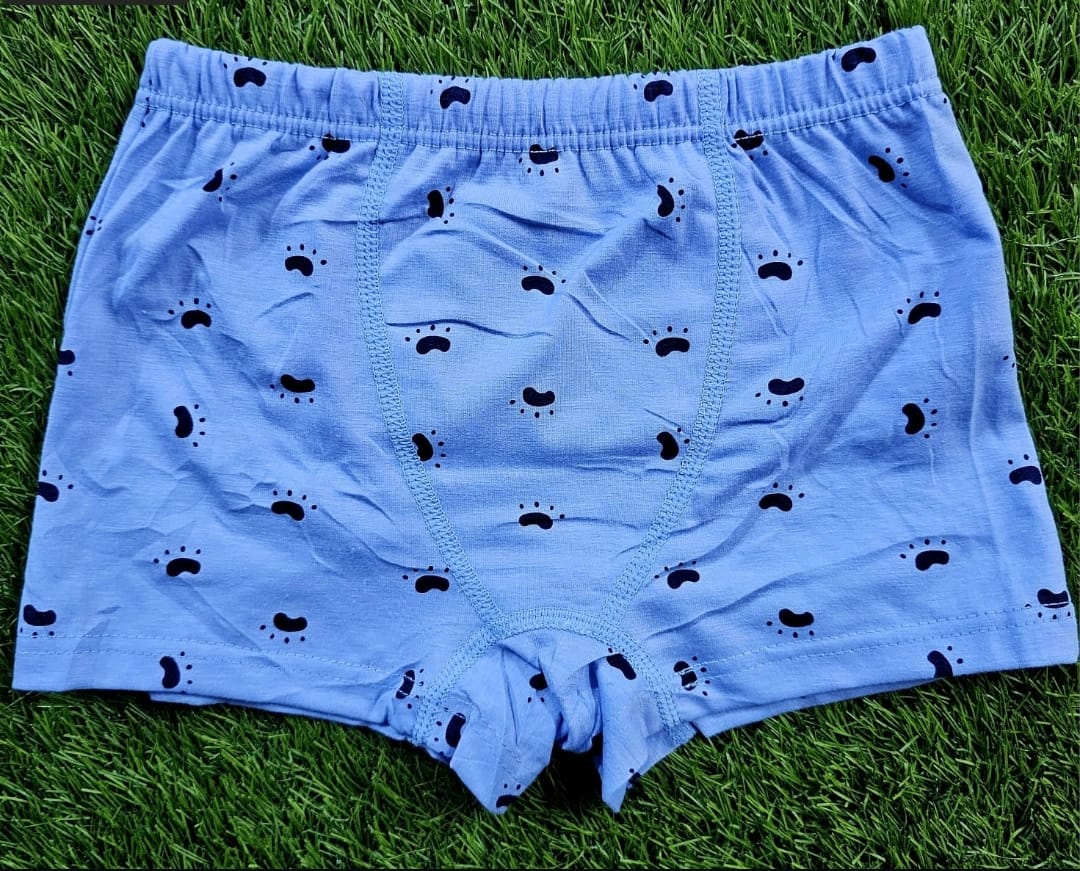 Kids Cotton Boxer Shorts 3PCS Set | Soft Breathable Boys Underwear | Elastic Waist Comfortable Cartoon Print Baby & Toddler Boxers