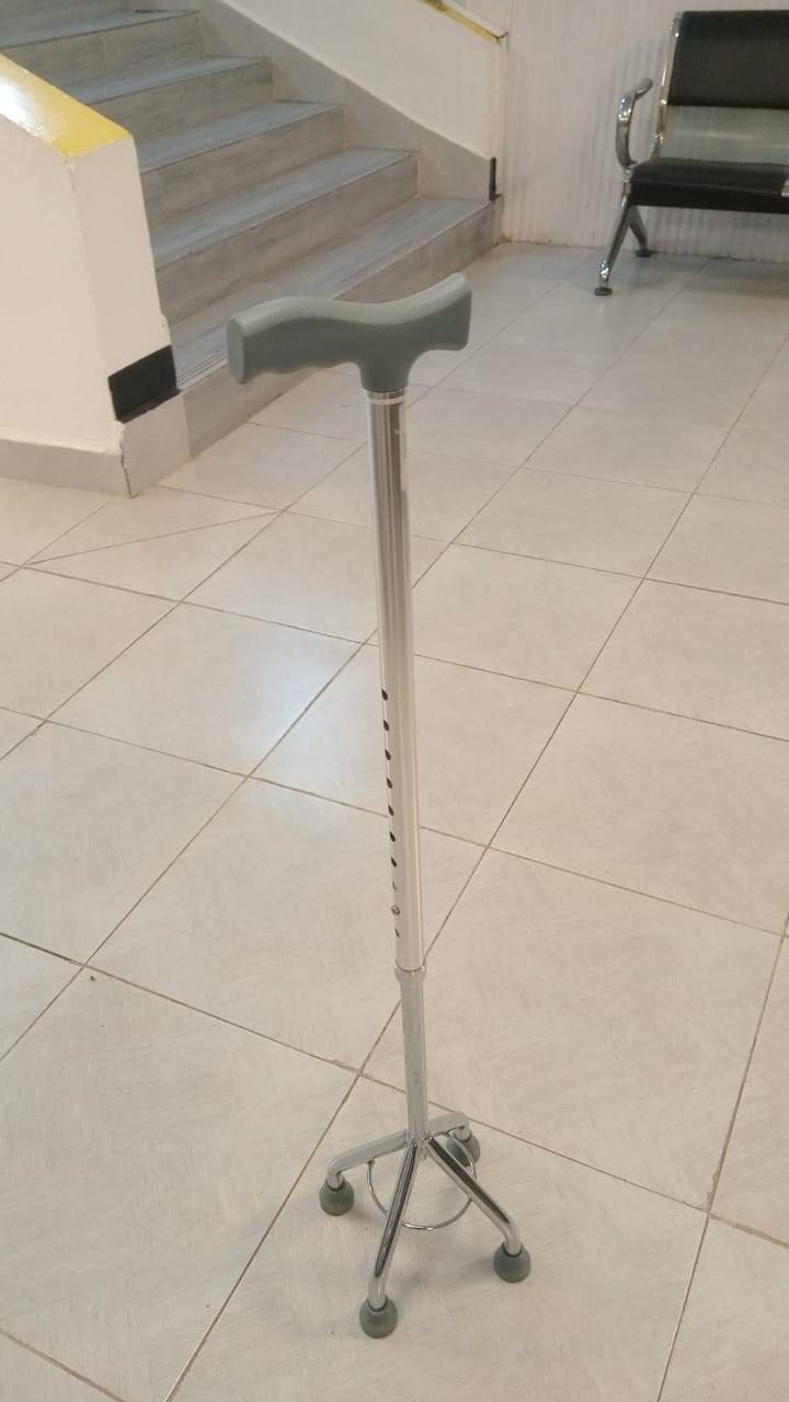 WALKING STICK