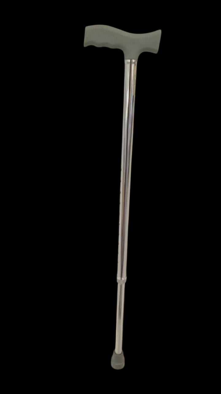 WALKING STICK