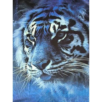 Premium 3D Printed Wolves Men's Novelty Graphic T Shirt Short Sleeve Tees Tops For Street Casual Daily 01 S