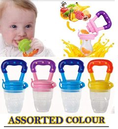 Baby Fruit & Vegetable Nibbler Pacifier