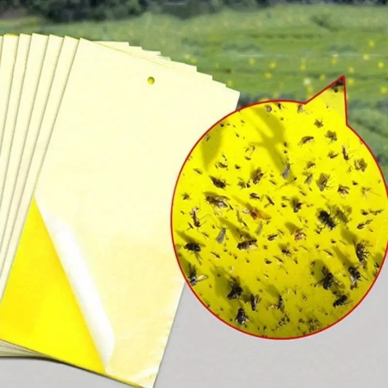 20pcs Strong Fruit Fly Traps Bugs Yellow Sticky Board Pest Control Insect Killer Two-sided Glue Paper Trap For Kill Pests
