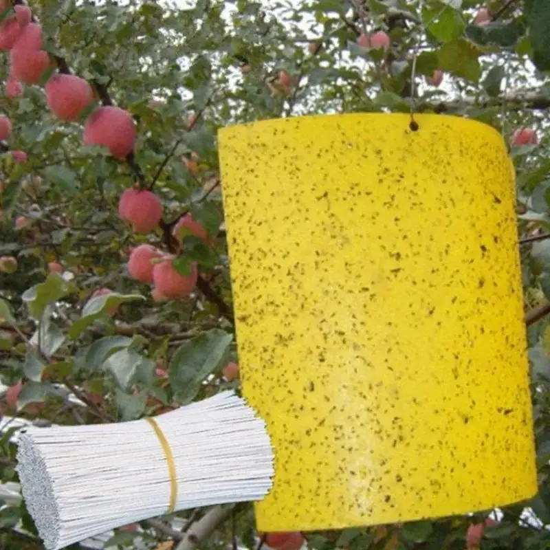 20pcs Strong Fruit Fly Traps Bugs Yellow Sticky Board Pest Control Insect Killer Two-sided Glue Paper Trap For Kill Pests
