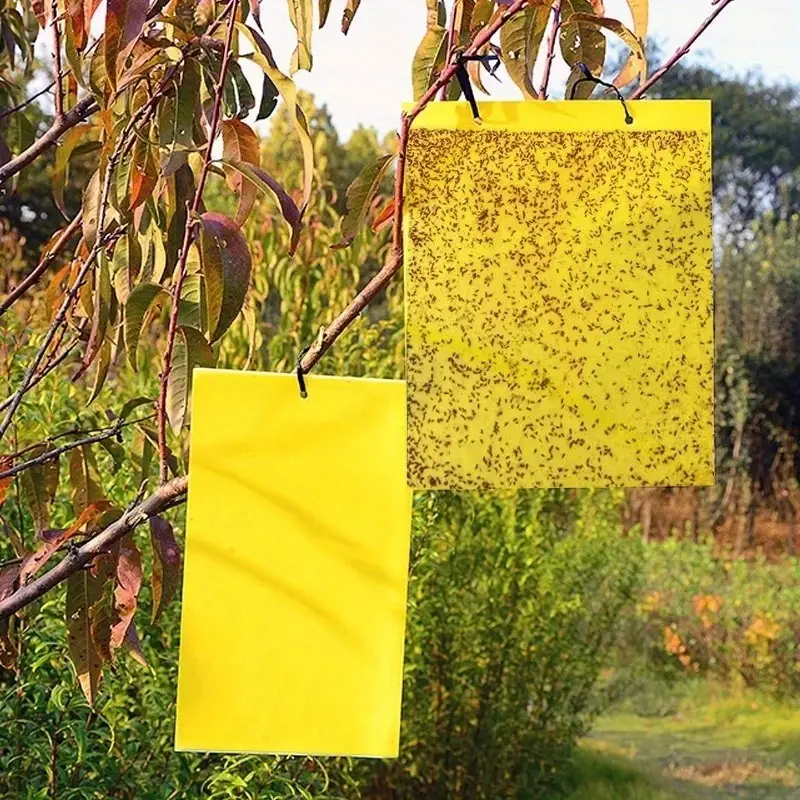20pcs Strong Fruit Fly Traps Bugs Yellow Sticky Board Pest Control Insect Killer Two-sided Glue Paper Trap For Kill Pests