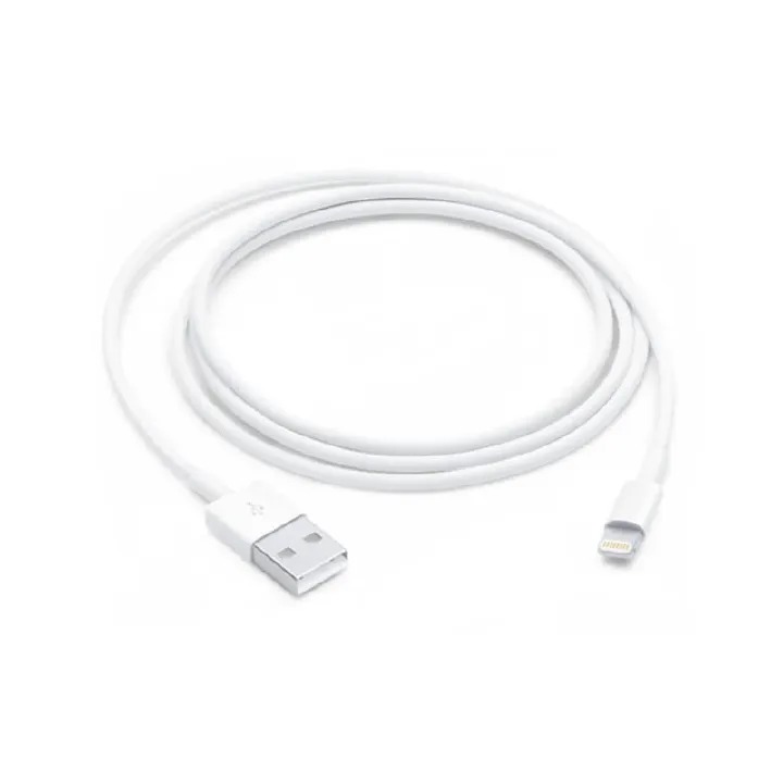 Lightning to USB Charging & Data Cable 1 Meter – Fast Charging, Durable Sync Cable for iPhone, iPad & iPod Compatible with USB Power Adapters