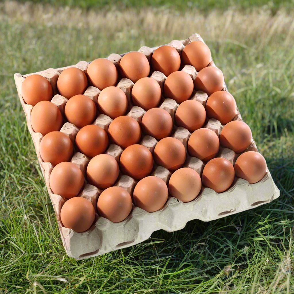 Eggs
