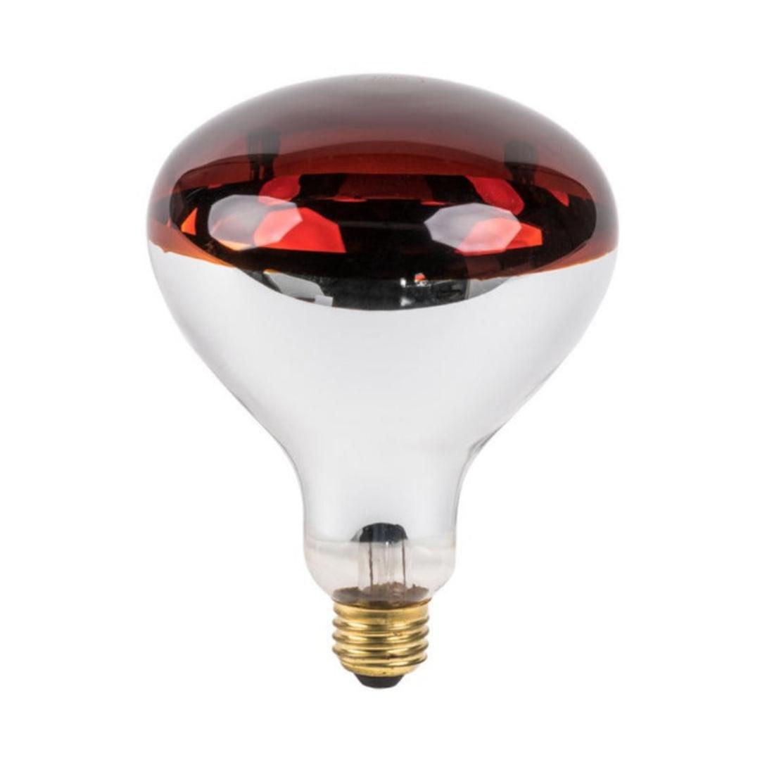 Windsor 250W infrared Chicken Bulb to provide warmth