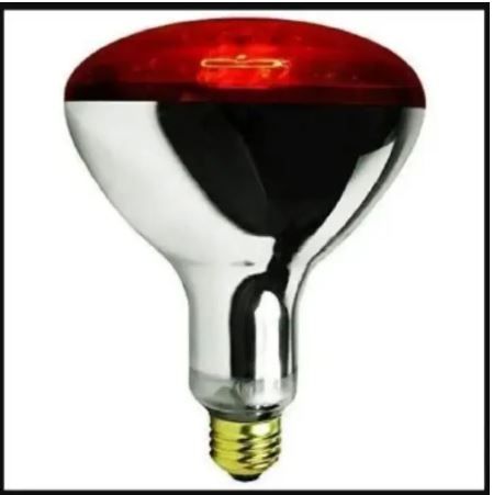 Red Infrared Chicken Bulb Professional Farm Garage with 6000h Long Life Helps Maintain Animal Warmth. Pemium Quality with a Non-stick Base Infrared Brooder Heat Lamp Bulb, Poultry, chicken Bulb