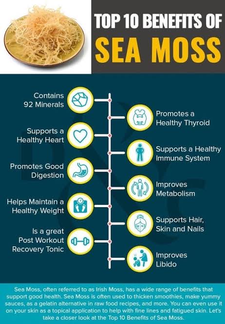 Organic Sea Moss Gummies – Clear Skin, Regular Blood Sugar, High immunity, Omega 3, Gut Health.