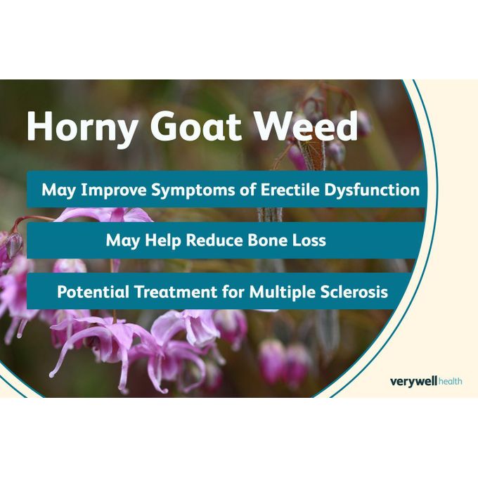 Libido Booster Coffee & Stronger & Harder Erections - 100% Organic Black Maca | Horny Goat Weeda