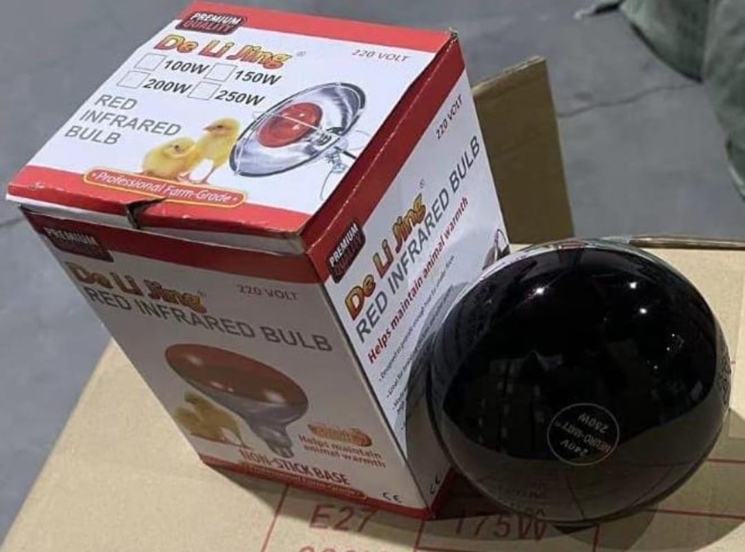Chicken Bulb
Simple installation 
Easy to use