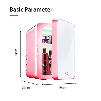 4L Portable Beauty car fridge with mirror and duo power option (car cigar DC power or AC power)portable mini skincare and beauty fridge