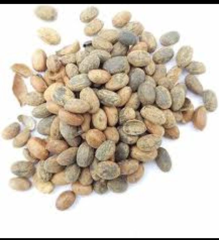 Flat tummy and weight loss miracle seeds