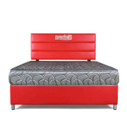 🎁 4 FREE Pillows! Superfoam Morning Glory Mattress 🛏️ | 8" High-Density Foam | Quilted Soft Cover | Breathable & Durable | Heavy Duty Build | 2-Year Warranty 🌙✨