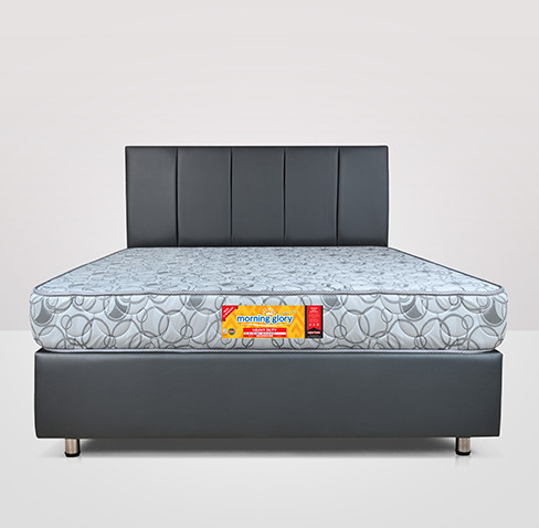 2 FREE Pillows! Superfoam Morning Glory Mattress 🛏️ | 8" High-Density Foam | Quilted Soft Cover | Breathable & Durable | Heavy Duty Build | 2-Year Warranty 🌙✨