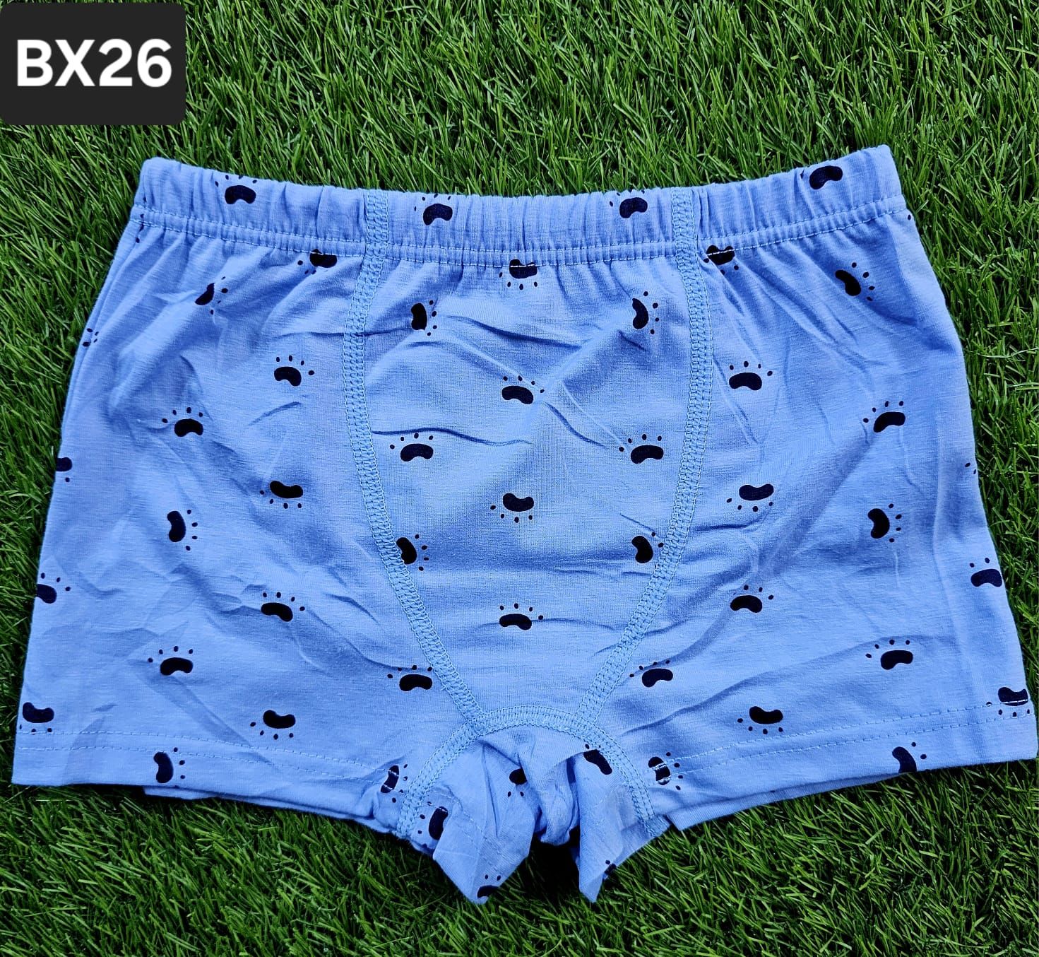 6pcs small boys 2-5 yrs pure cotton boxer shorts. Soft, breathable and comfortable for daily wear, school and sleep.