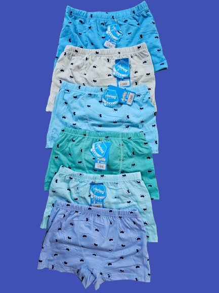 6pcs small boys 2-5 yrs pure cotton boxer shorts. Soft, breathable and comfortable for daily wear, school and sleep.