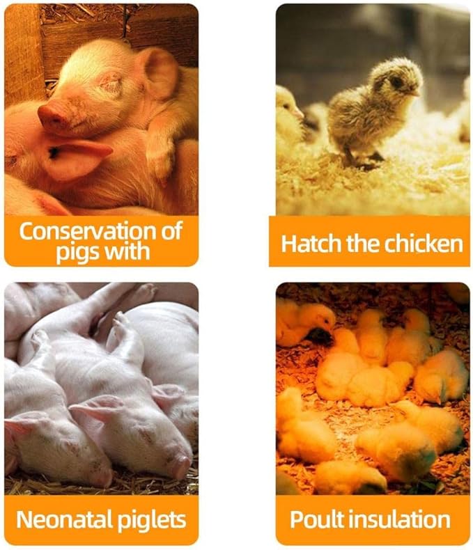 EFFICIENT Red Infrared Heat Chicken Bulb Light Bulb Heating Lamp Bulb Pet Poultry Incandescent Heat Lamp Hard Glass Pet Light for Chicken Farm, Pig Farm