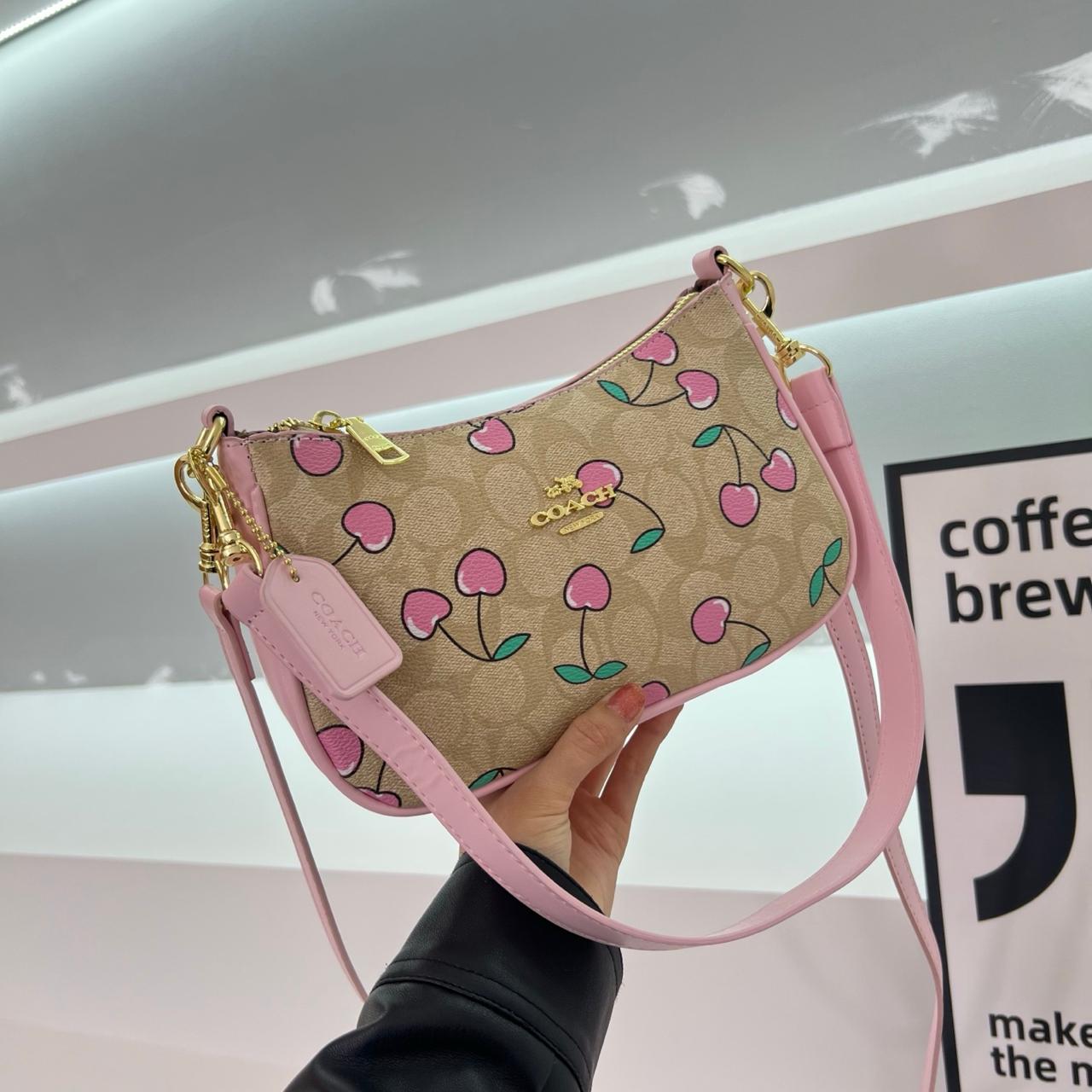 New Arrivals High quality COACH Teri designer bag