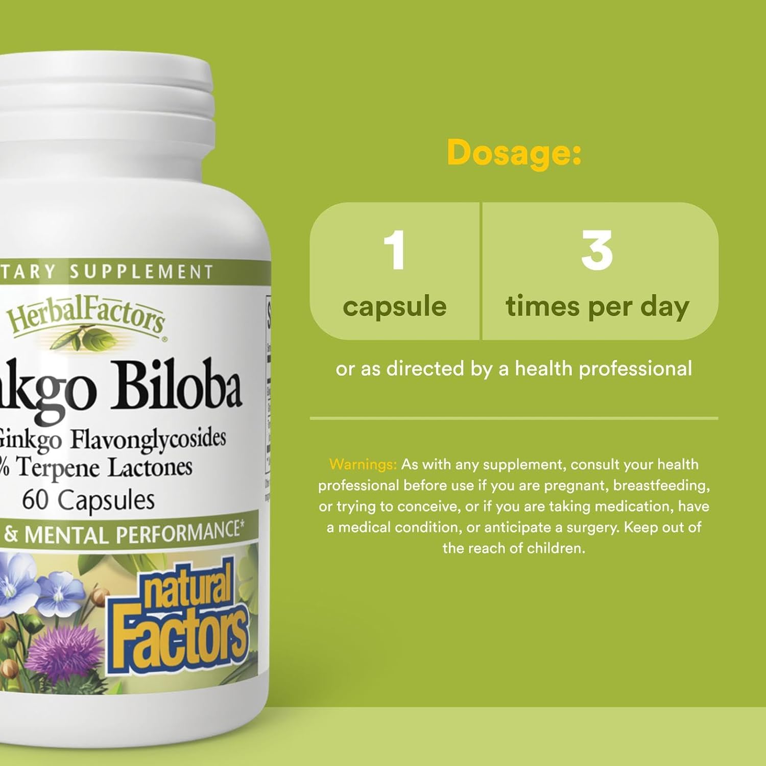 HerbalFactors by Natural Factors, Ginkgo Biloba, Supports Memory, Mental Performance and Healthy Brain Function, 60 capsules (60 servings)