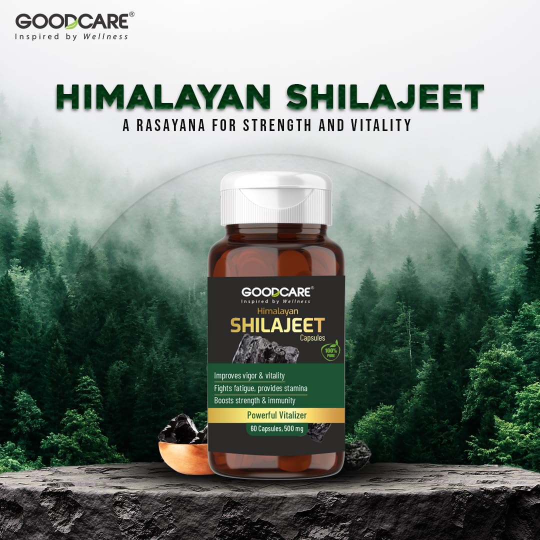 Goodcare Pure Himalayan Shilajit/Shilajeet 60 Capsules | Natural Ayurvedic Performance Booster | Enhances Stamina, Strength, Energy & Immunity