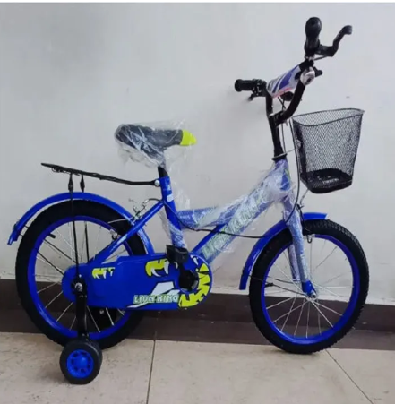 Lion King Bicycle Kids Bike For Sports Size: 16; Age 4 to 8 years(with balance wheels) It is available in a variety of colors to suit your child's