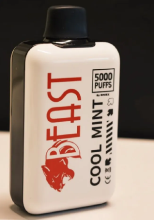 5000 Puffs rechargeable beast Vape High Capacity E-Cigarette Vape pen cool mint