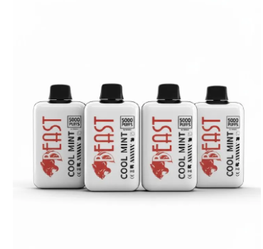 5000 Puffs rechargeable beast Vape High Capacity E-Cigarette Vape pen cool mint