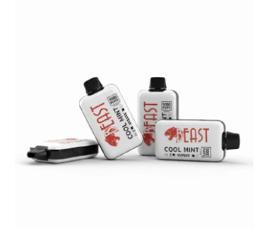 5000 Puffs rechargeable beast Vape High Capacity E-Cigarette Vape pen cool mint