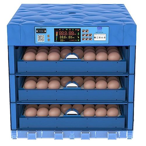 Kuku 192 eggs AC/DC automatic incubator