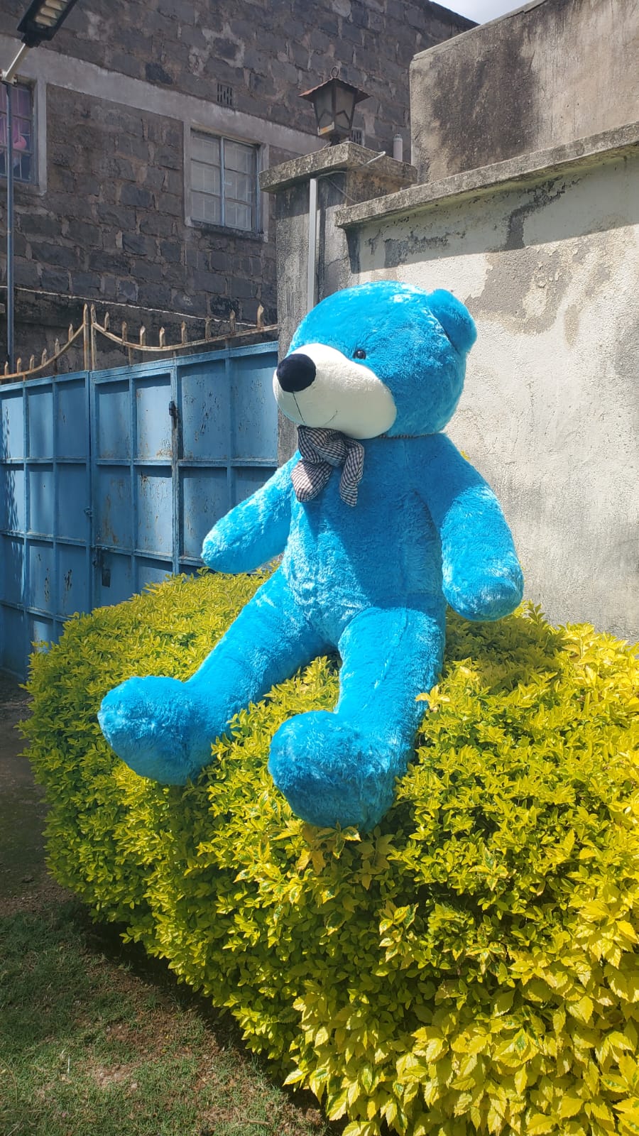 180cm Giant Plush Teddy Bear – Extra Large Ultra-Soft Stuffed Toy for Kids, Lovers, Gifts & Home Decor