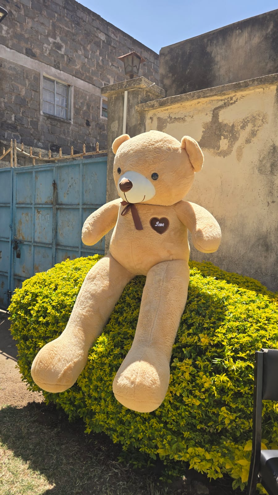 200cm Giant Plush Teddy Bear – Extra Large Ultra-Soft Stuffed Toy for Kids, Lovers, Gifts & Home Decor